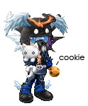 Chiiness Cookie
